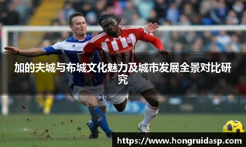 红桃国际网站